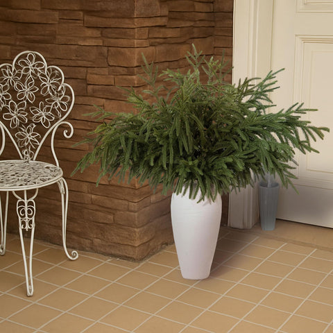 GIAUMA stems arranged in a tall vase adding instant seasonal height and impact
