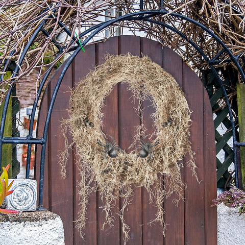 Giegxin moss styled in a planter adding volume and natural appeal