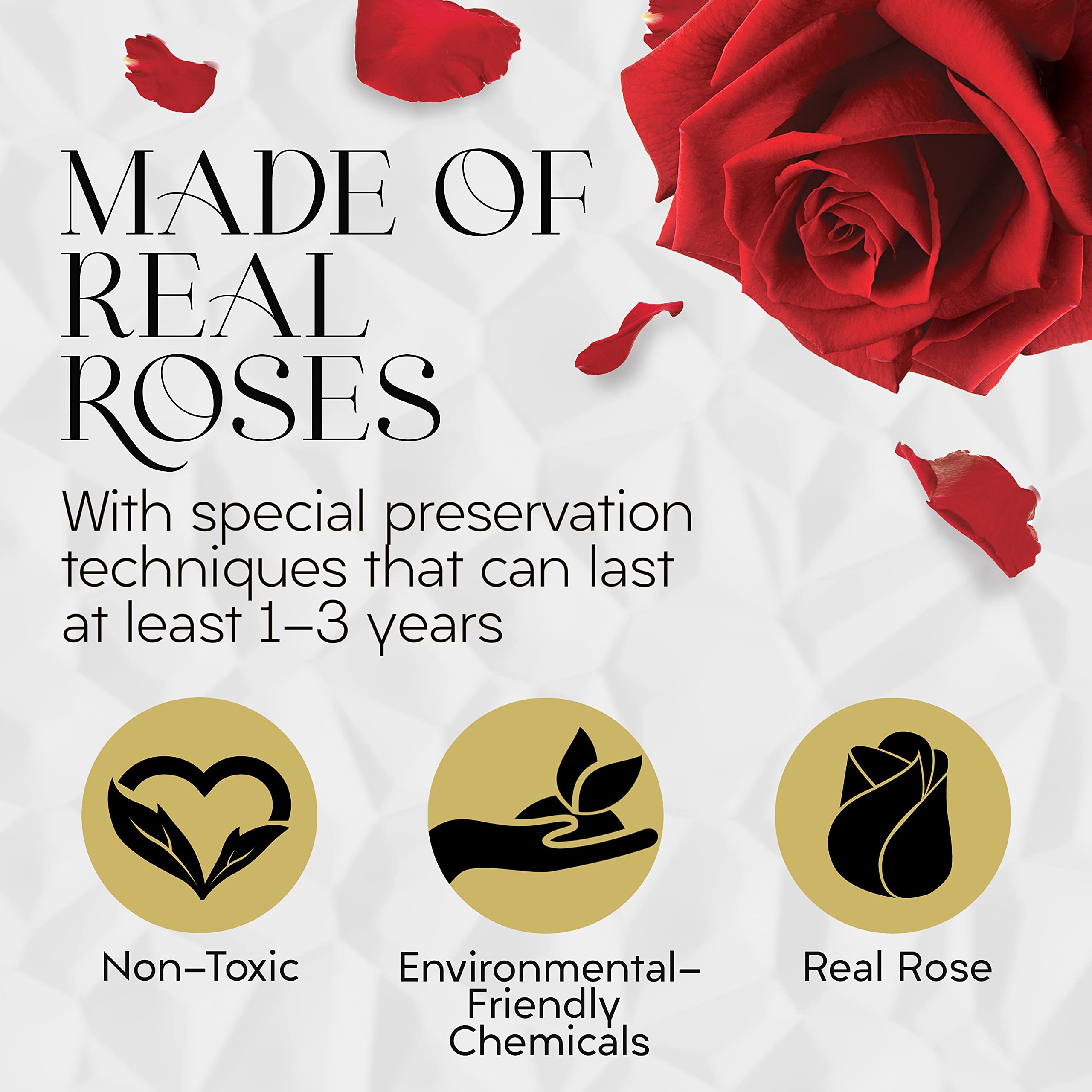 GLAMOUR BOUTIQUE open box display showing full preserved rose arrangement for gifting