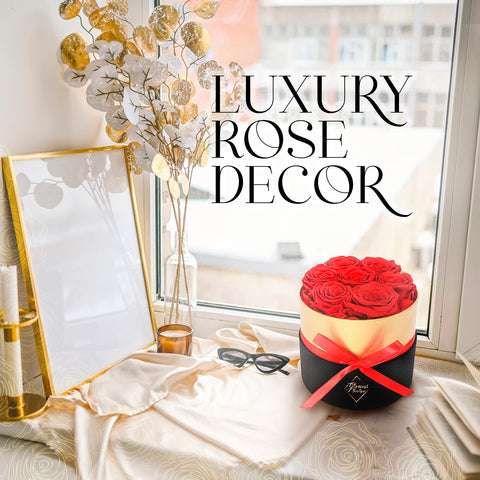 GLAMOUR BOUTIQUE held in hand for size comparison conveying compact display benefit