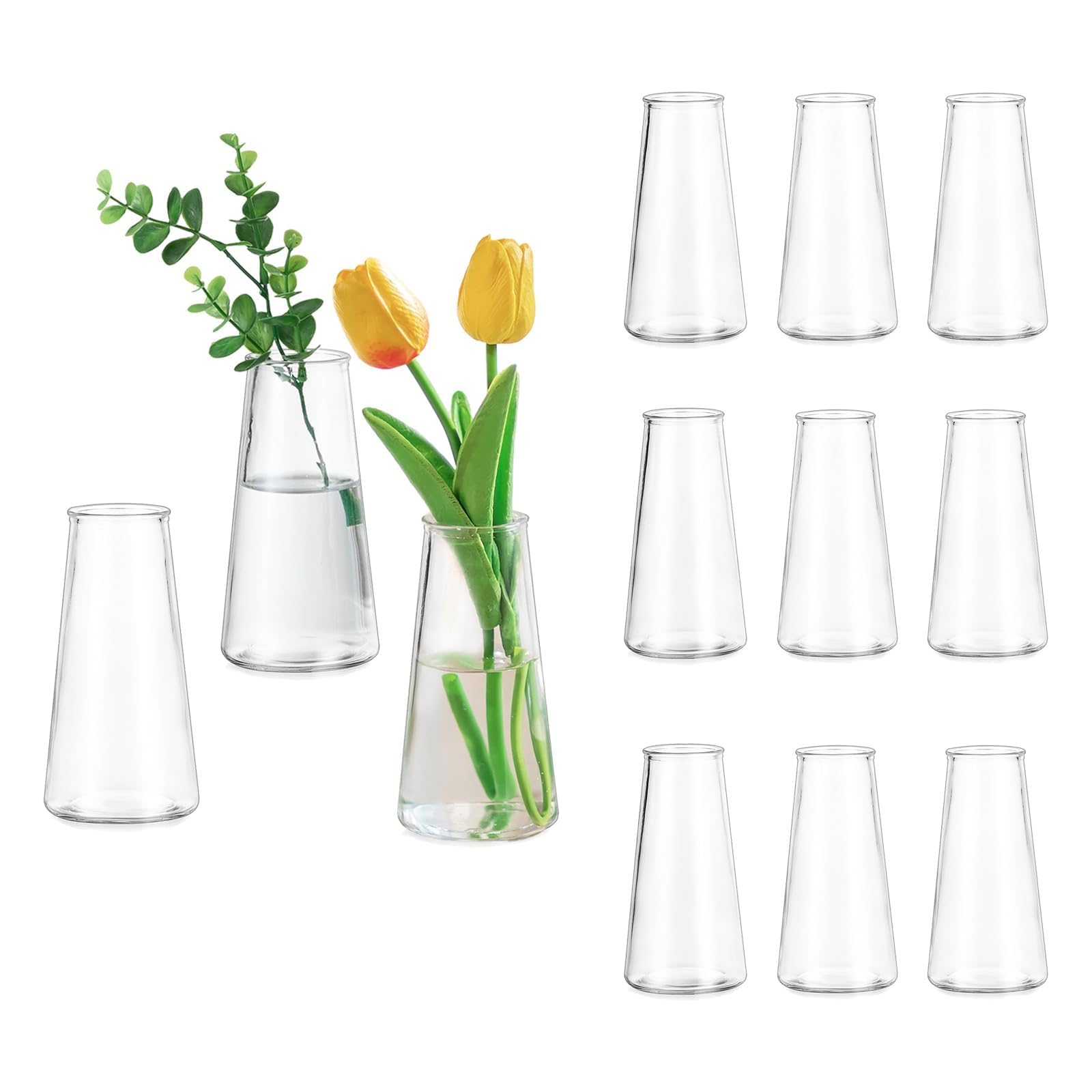 Glasseam front view of twelve clear vases showing minimalist set and cohesive look
