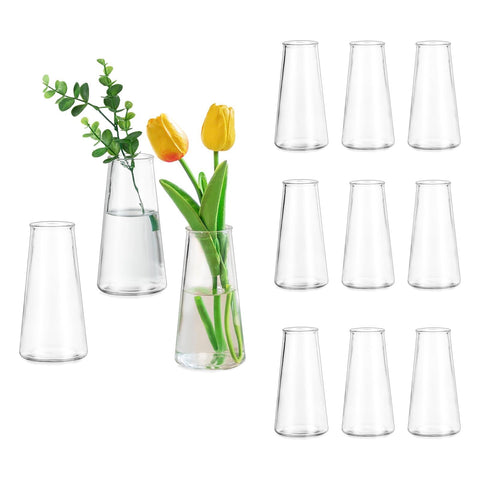 Glasseam front view of twelve clear vases showing minimalist set and cohesive look