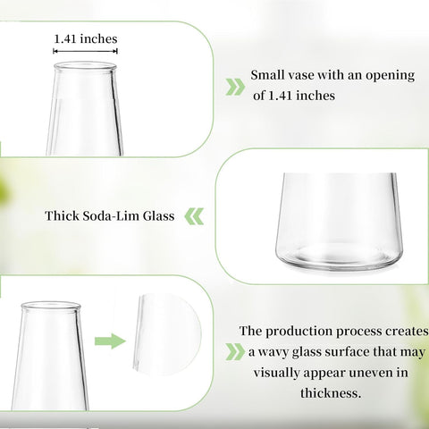 Glasseam vases styled on dining table illustrating event-ready decor