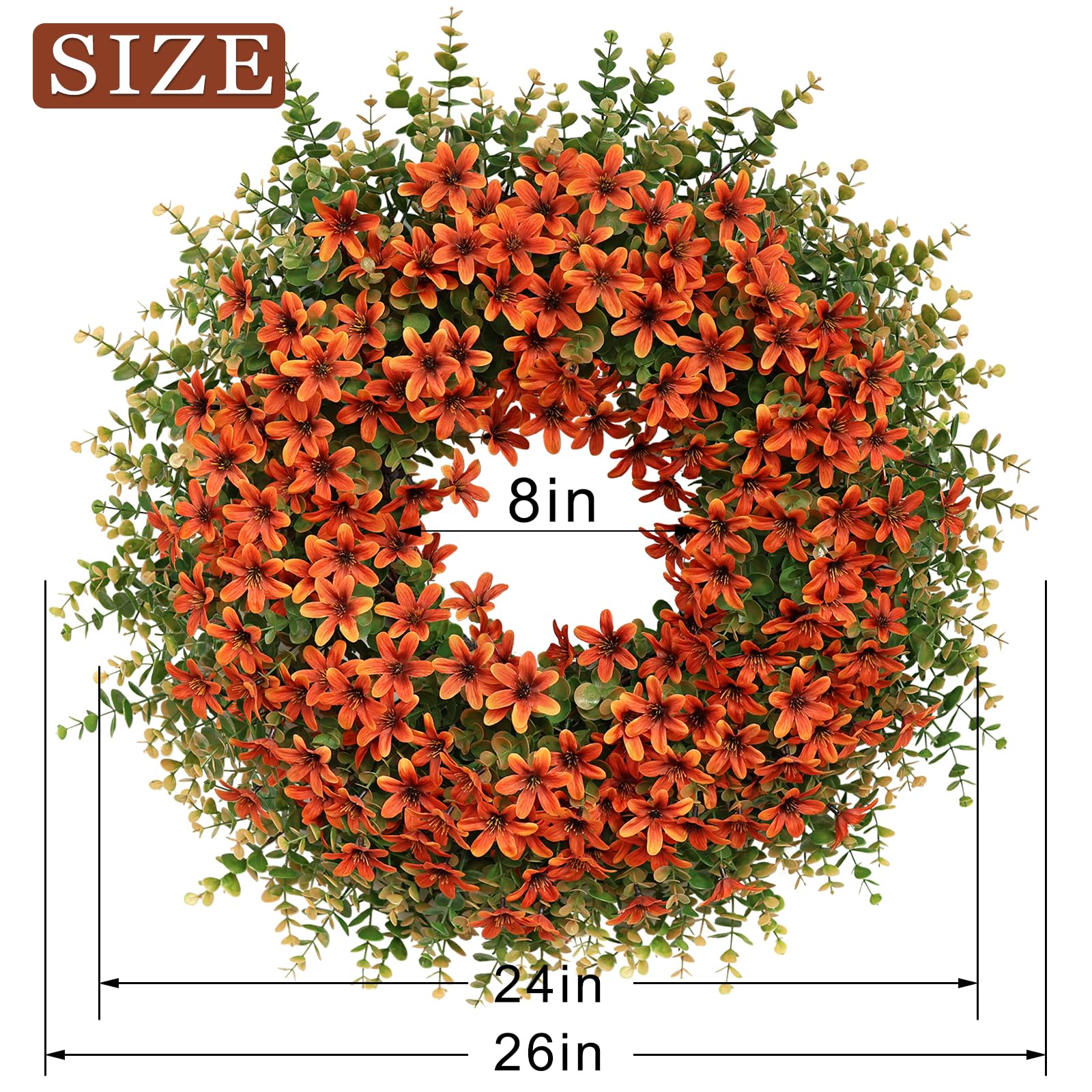 GLIDLION scale comparison with door shows 24–26 inch size fit