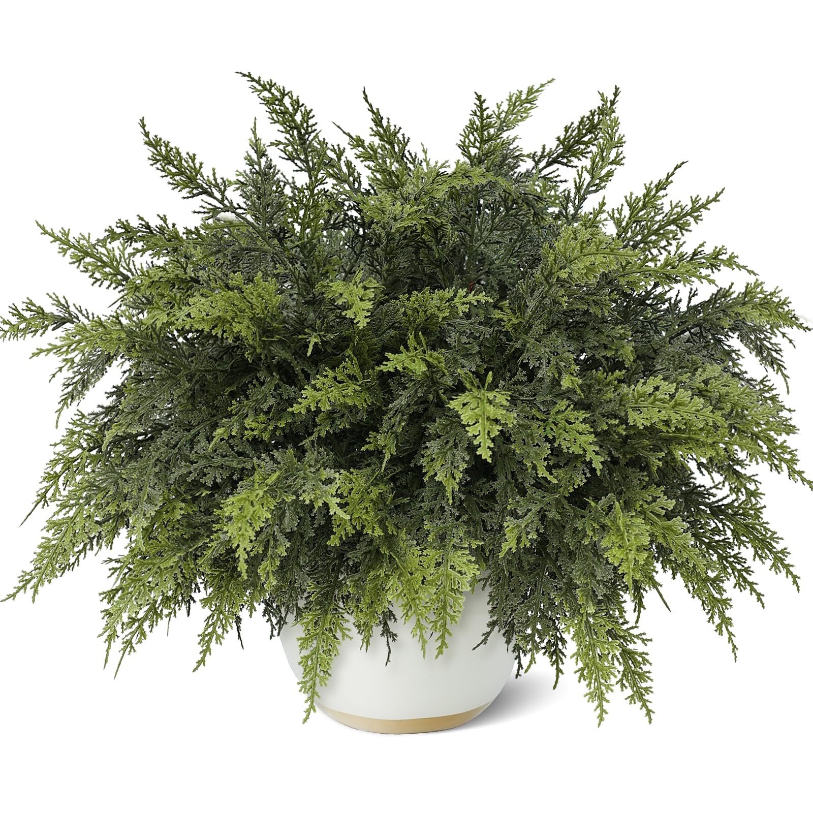 GLIDLION front packaging showing 24 cedar branches, ready for holiday décor