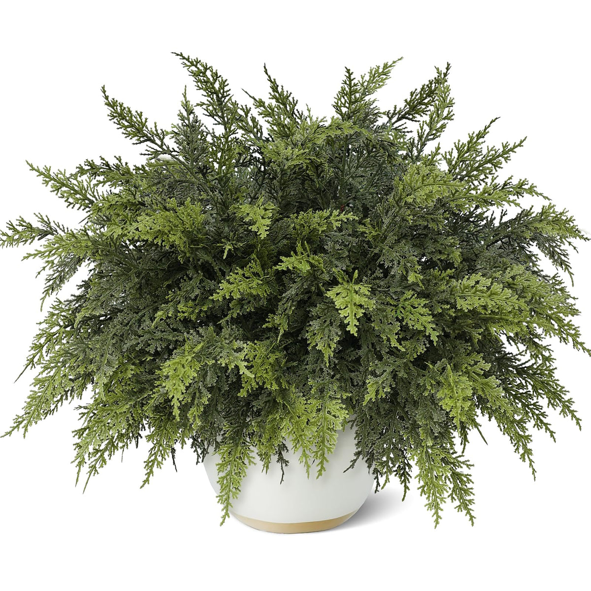 GLIDLION front packaging showing 24 cedar branches, ready for holiday décor