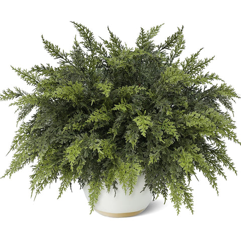 GLIDLION front packaging showing 24 cedar branches, ready for holiday décor