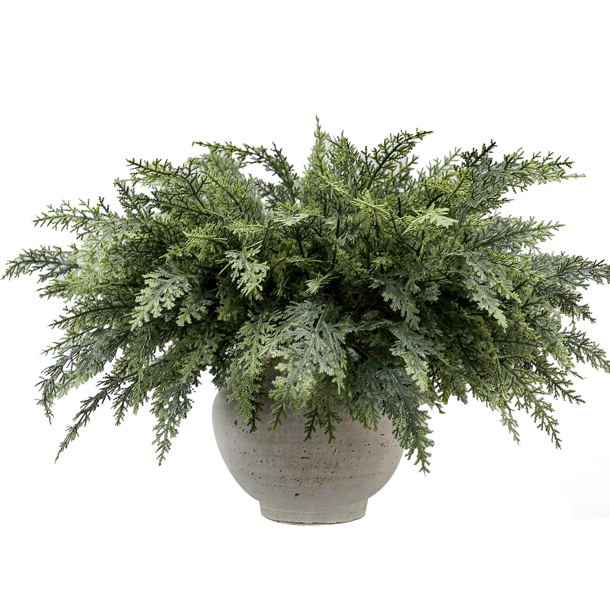 GlimLit front view of 12-pack stems showing full bundle and color