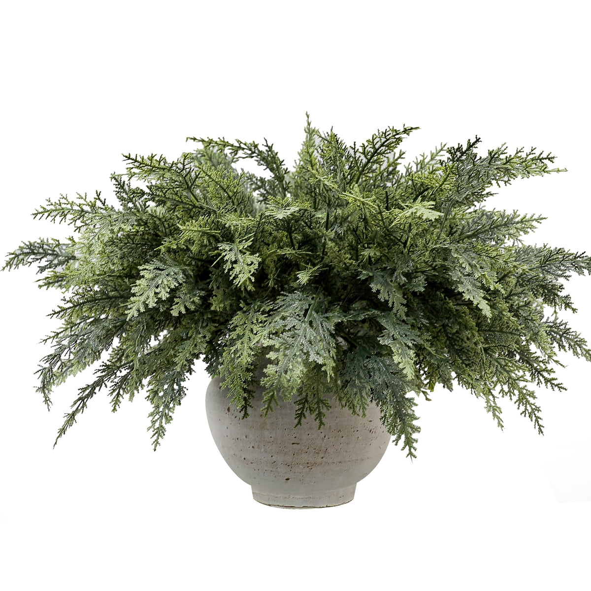 GlimLit front view of 12-pack stems showing full bundle and color