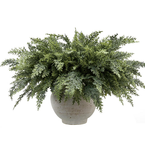 GlimLit front view of 12-pack stems showing full bundle and color