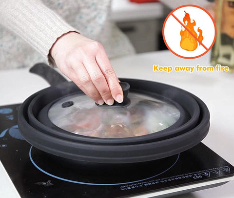 GLOU-GLOU GOOSE cover inside microwave keeping splatter contained