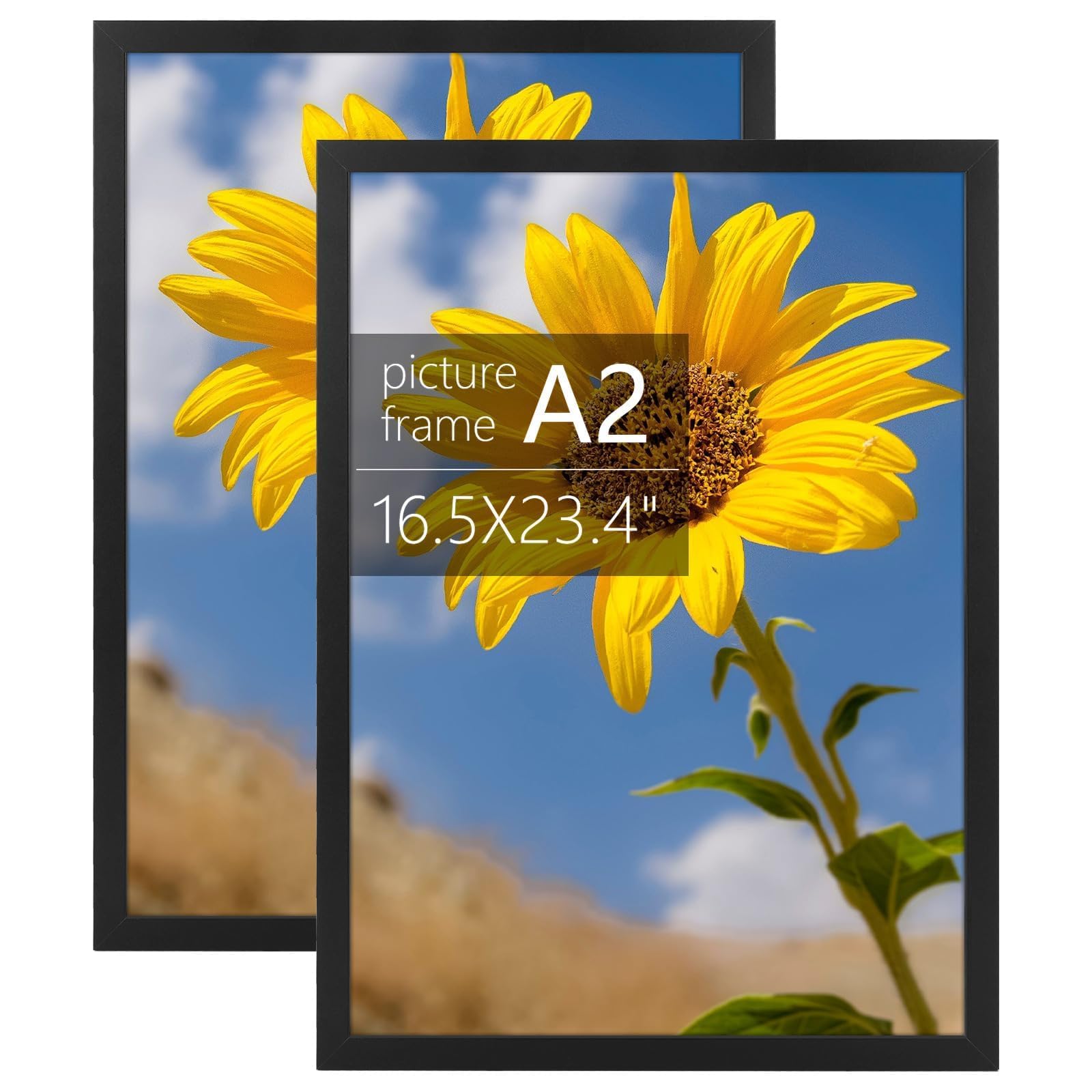 Golden State Art black A2 frame front view highlighting sleek presentation and protection