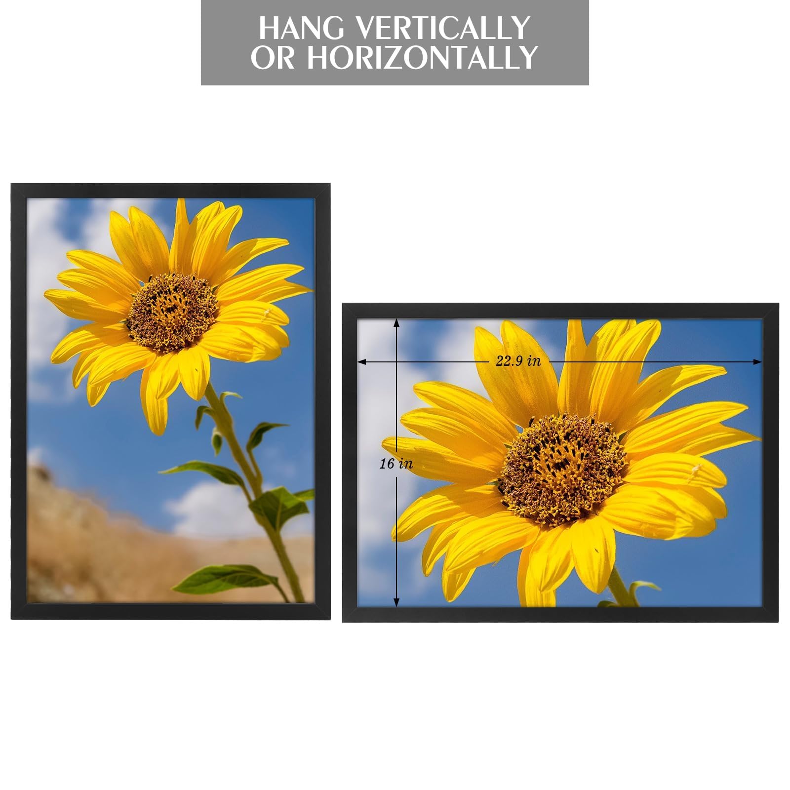 Golden State Art plexiglass close-up showing clear, shatter-resistant cover benefit