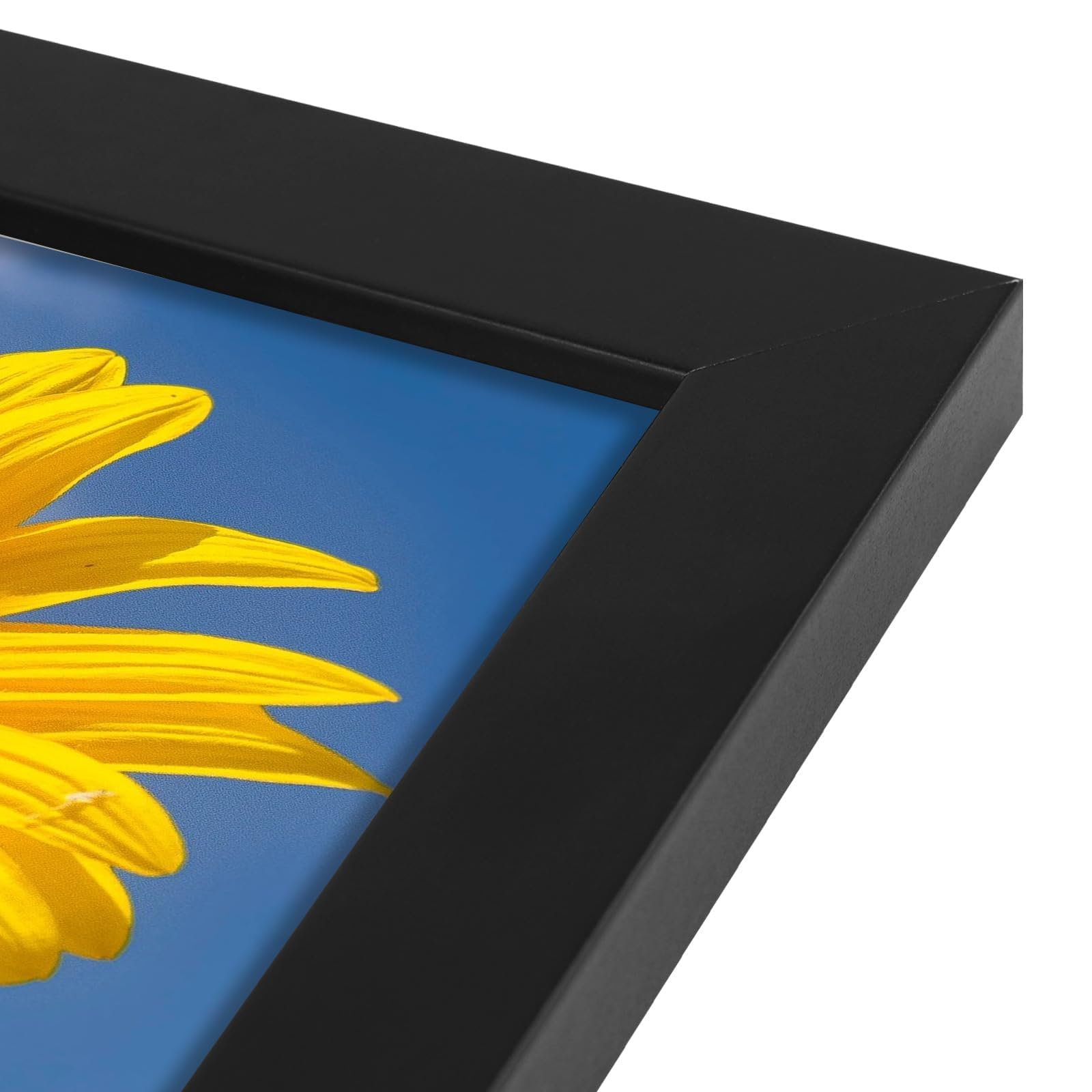 Golden State Art frame next to paper showing true A2 size and scale for accurate fit