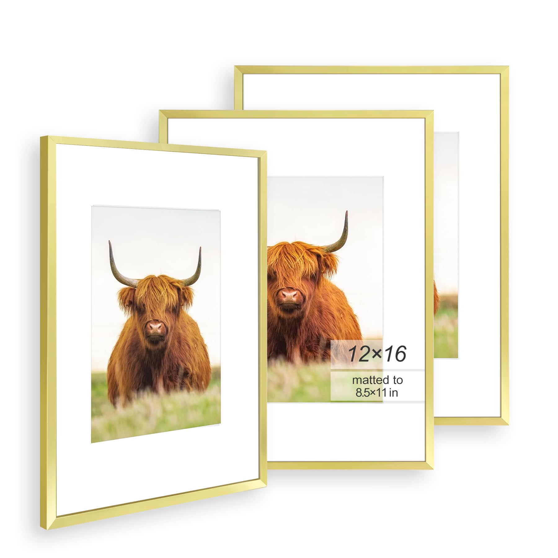 Golden State Art front view of gold frame showing elegant finish and polished display