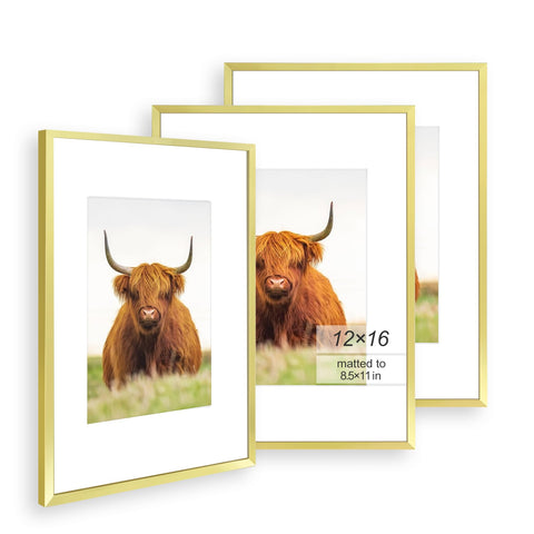 Golden State Art front view of gold frame showing elegant finish and polished display