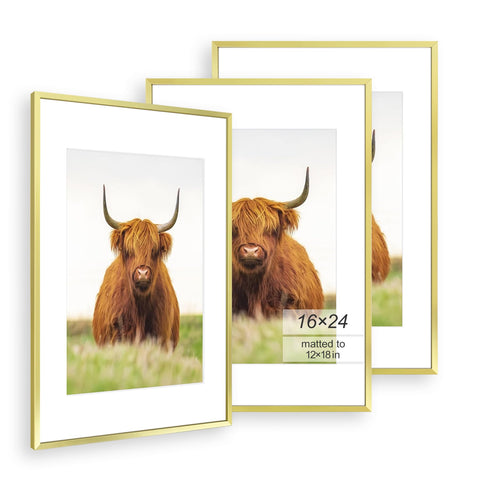 Golden State Art front view of gold frame showing sleek border and presentation benefit
