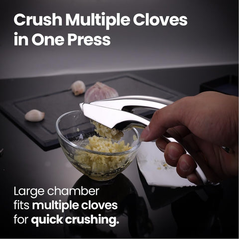 Gourmet Easy fine plate detail highlighting smooth mince ideal for dressings
