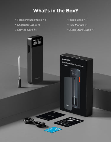GoveeLife probe and base next to ruler for clear size comparison
