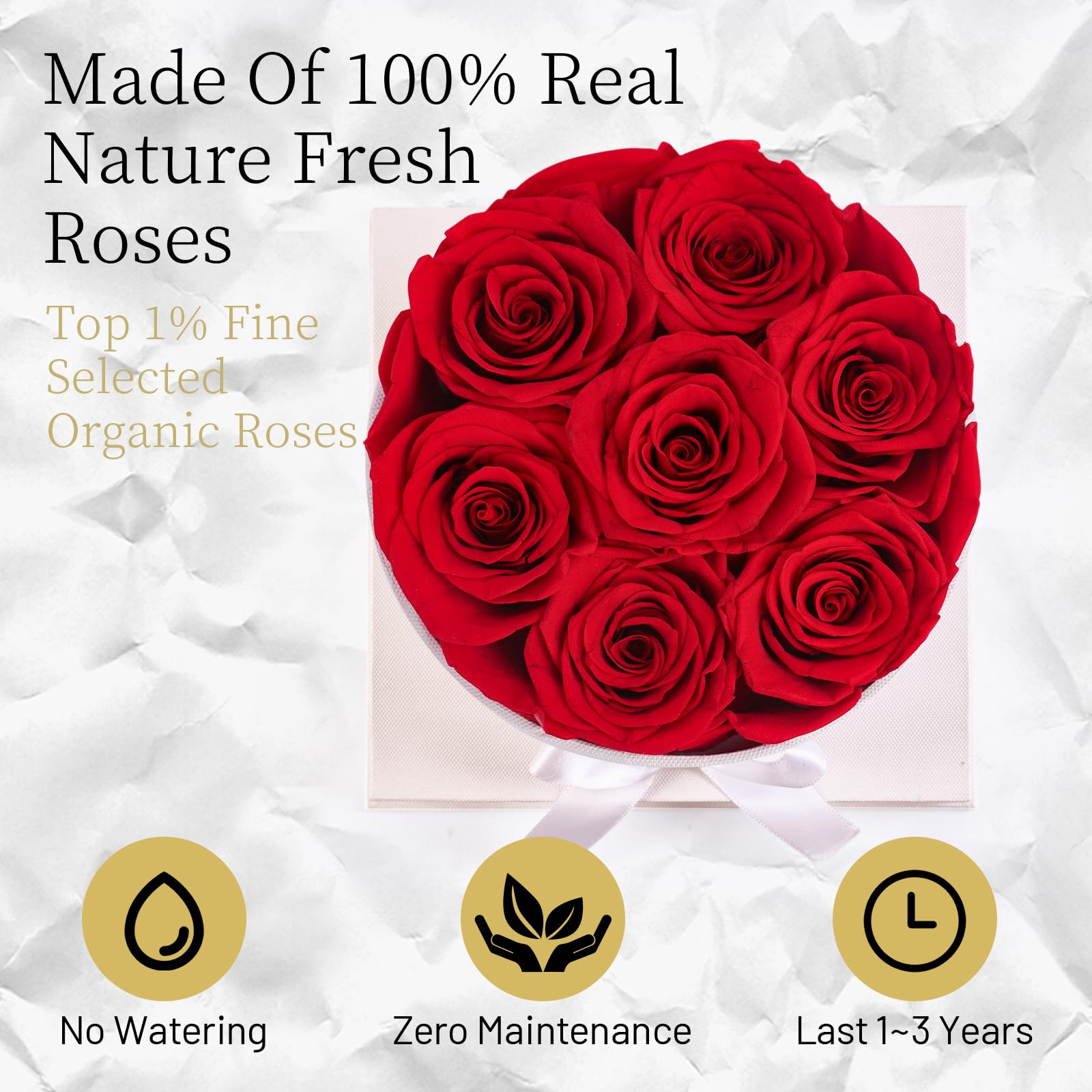 Graclect close-up of preserved rose petals showing natural texture and long-lasting beauty