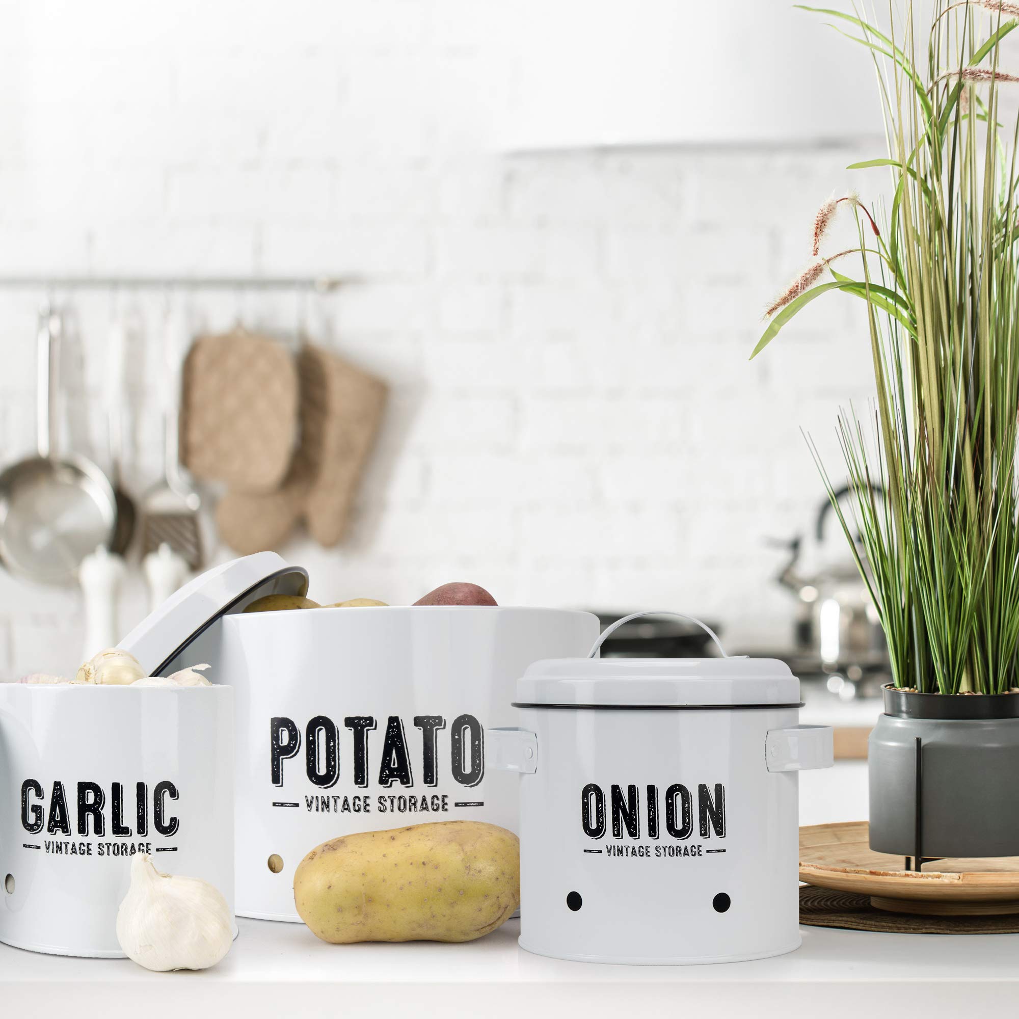 Granrosi set styled in farmhouse kitchen showing decorative storage appeal