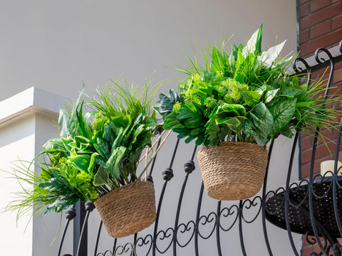 Green Moon window box filled with stems, brightens outdoor windows