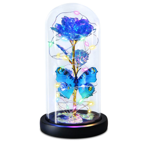 Greenke blue rose front view showing elegant dome and romantic gift appeal