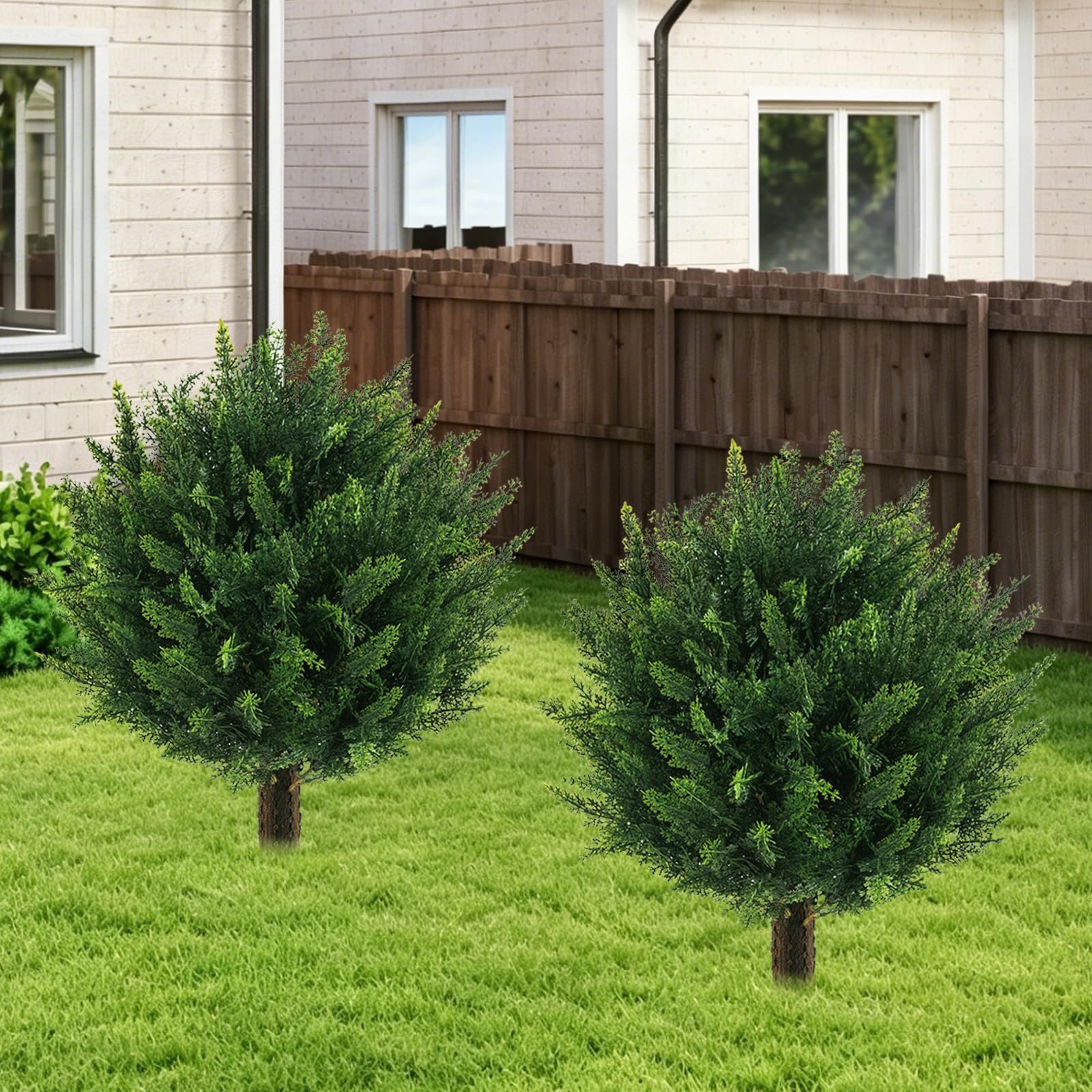 Grewyear front view of two bushes showing full lush foliage and curb appeal