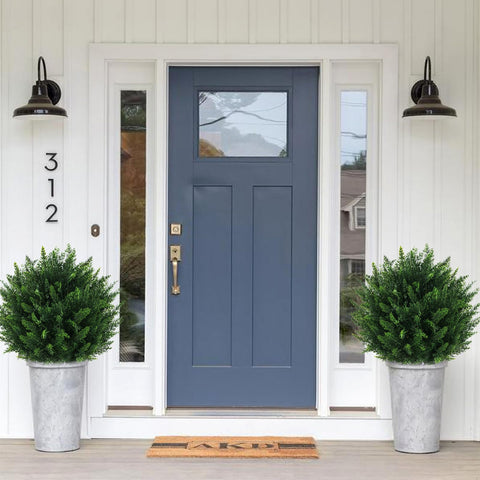 Grewyear twin bushes staged on patio creating year-round decorative hedge