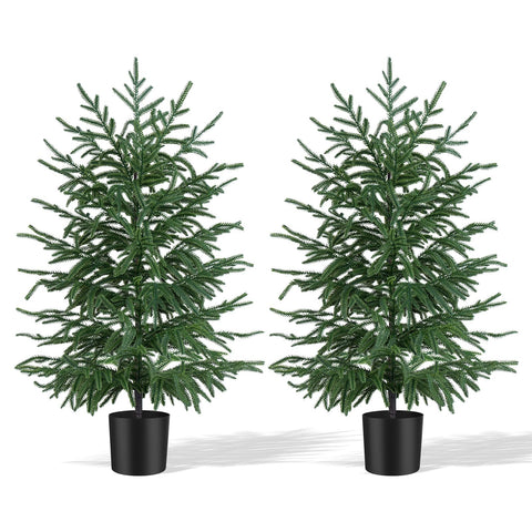 Grooy front view of two 3ft Norfolk Pines showing lifelike foliage and balance