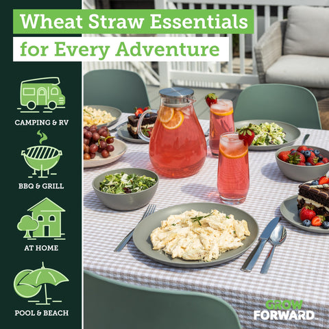 Grow Forward close-up of 10.5-inch dinner plate edge showcasing durable finish
