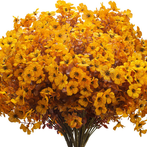 Grunyia fall mums front view showing full autumn blooms and instant seasonal curb appeal
