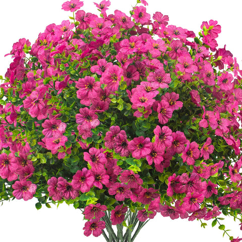Grunyia front packaging showing bundle count and vibrant colors, enhancing curb appeal