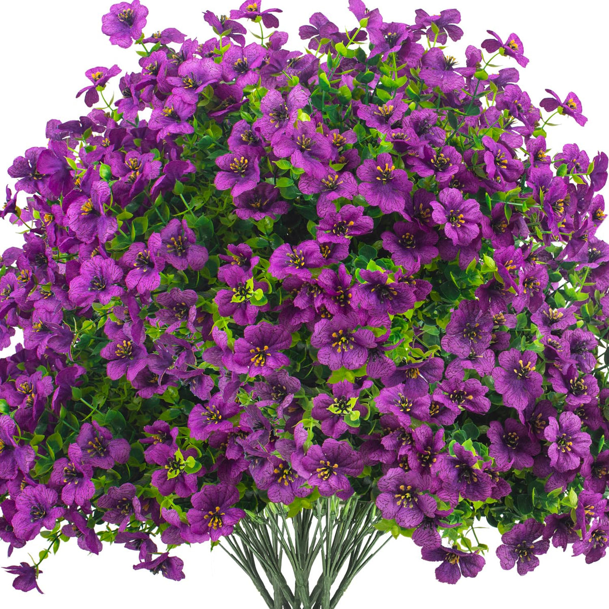Grunyia front view showing 16-bundle purple daisies, instant curb appeal