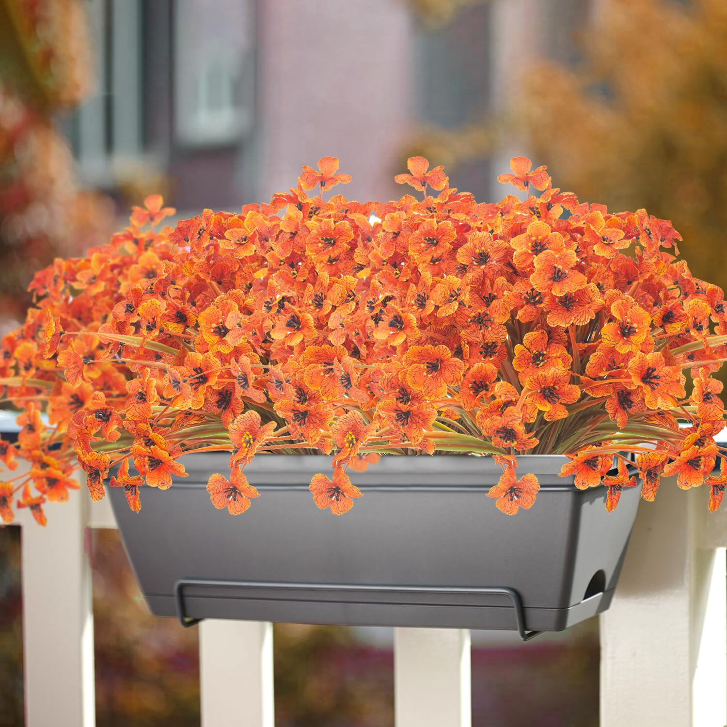 Grunyia styled at a doorway creating welcoming seasonal curb appeal