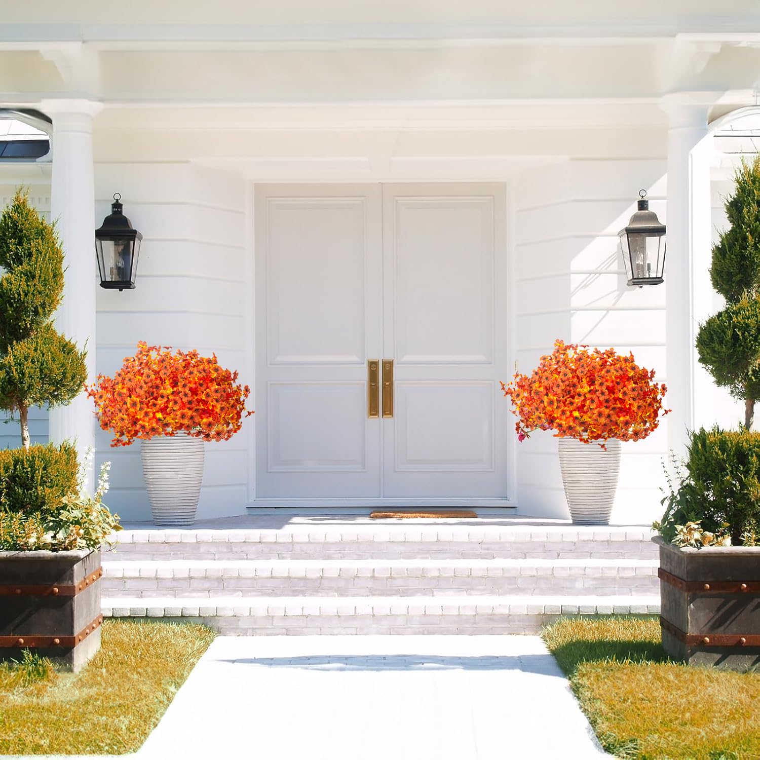 Grunyia arranged in a porch planter offering a ready-made seasonal focal point