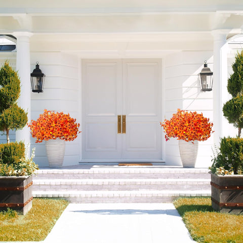 Grunyia arranged in a porch planter offering a ready-made seasonal focal point