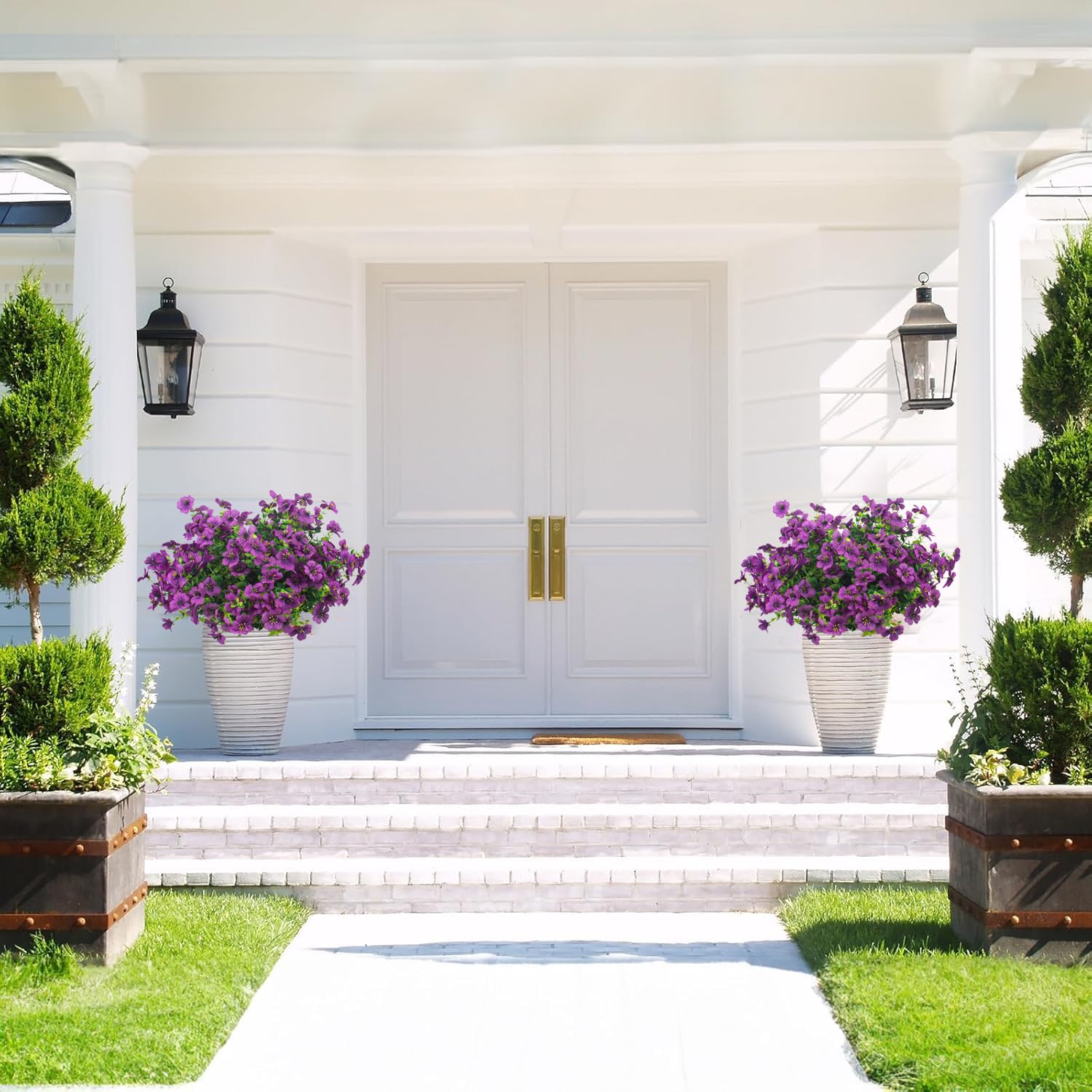 Grunyia daisies in porch planter, durable outdoor color boost