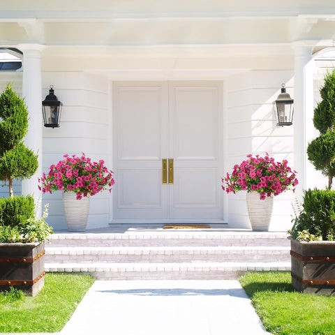 Grunyia arranged in a planter on a porch adding instant low-maintenance color