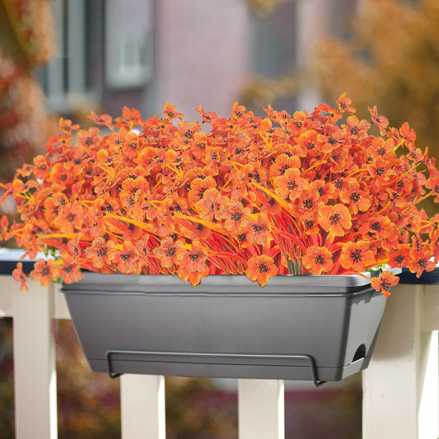 Grunyia outdoor display after rain showing water-resistant durability