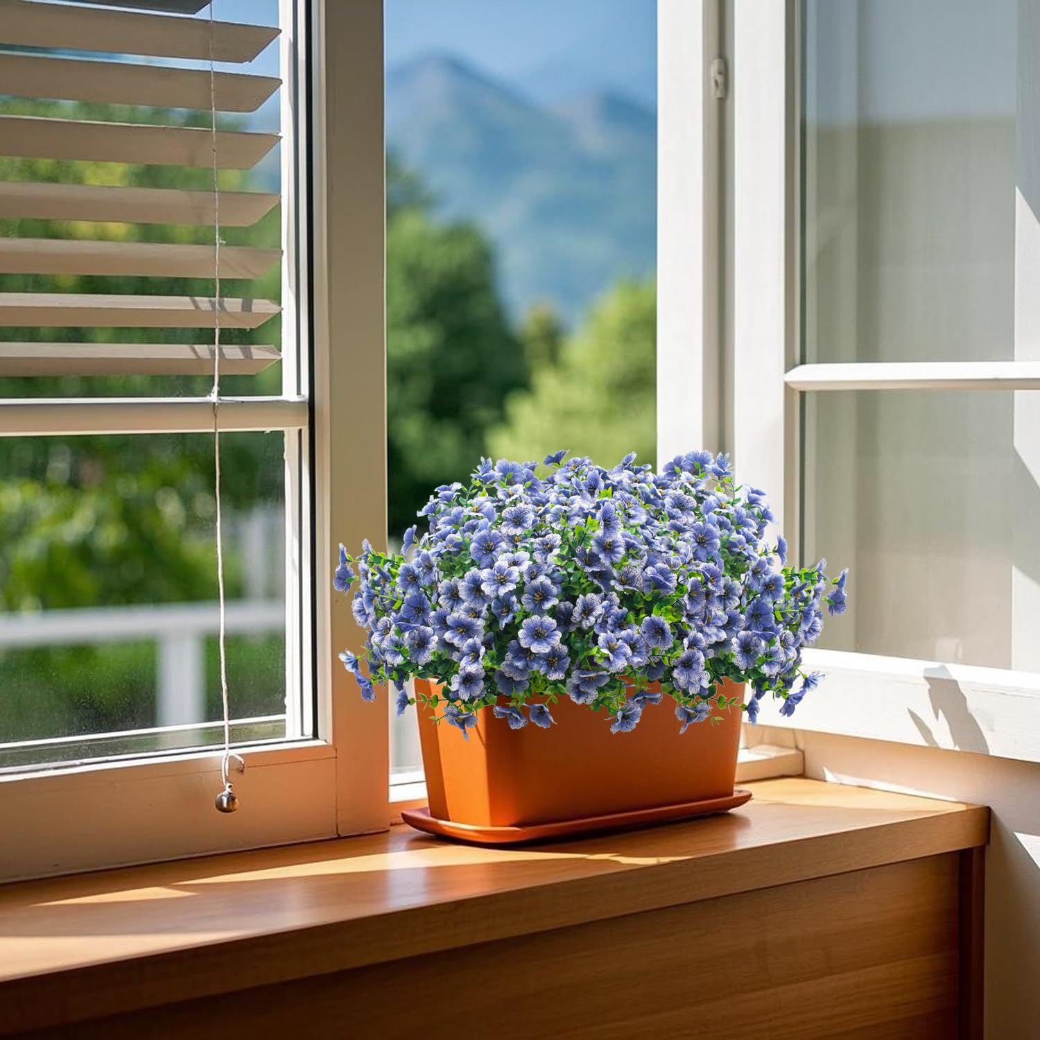 Grunyia window box display with blue daisies creating bright curb appeal