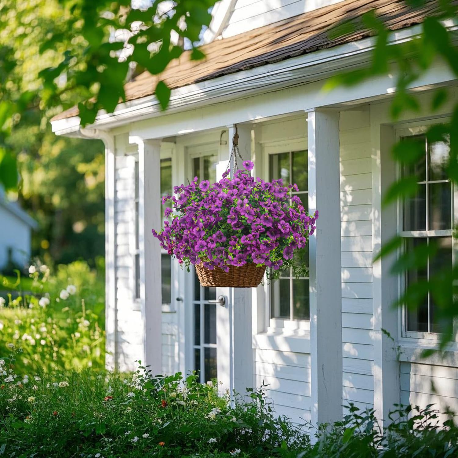 Grunyia flowers placed in window box, low-maintenance seasonal display