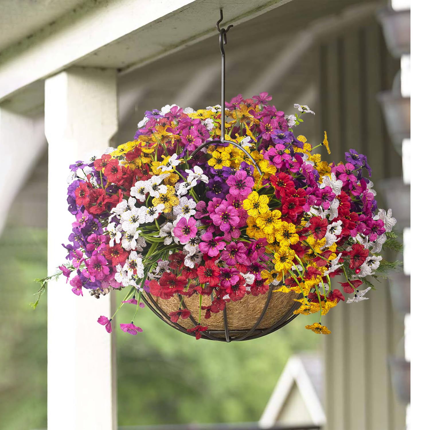 Grunyia floral display in a window box demonstrating UV resistance outdoors benefit