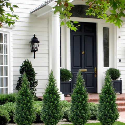 GZFDY paired topiaries on a front porch adding instant, maintenance-free greenery