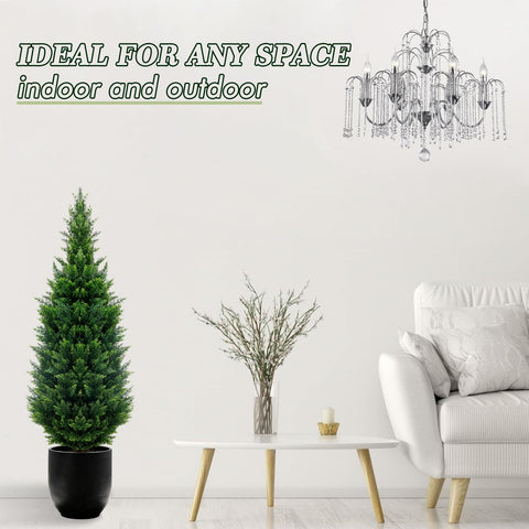 GZFDY tree next to doorway showing height and proportion benefit