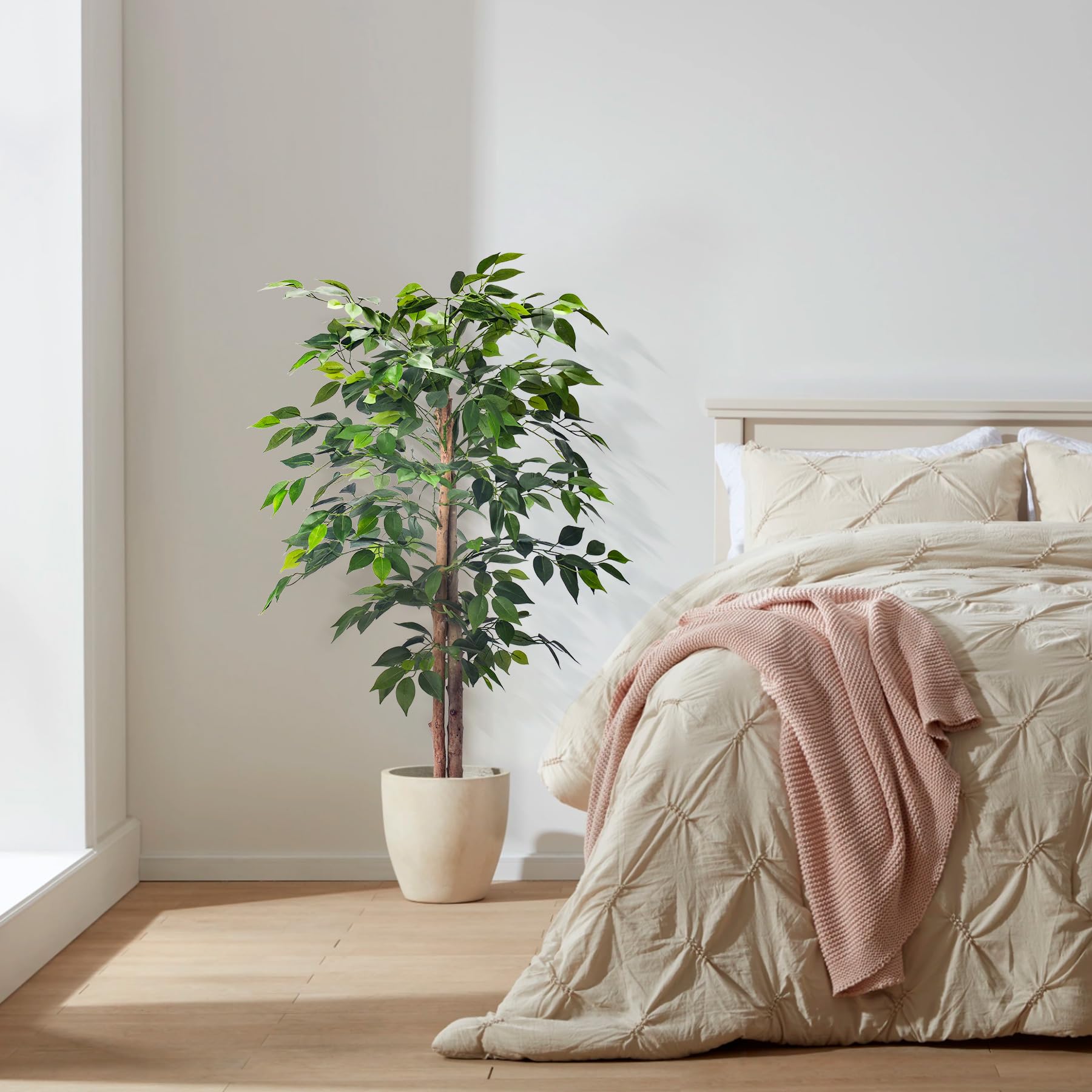 HAIHONG tree next to sofa for scale showing compact footprint and visual impact