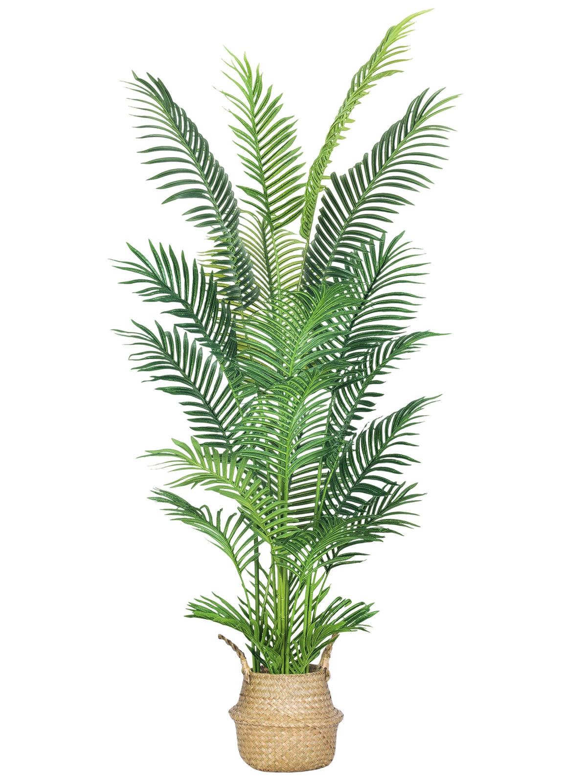 HAIHONG front view showing full 6ft palm tree for instant tropical upgrade