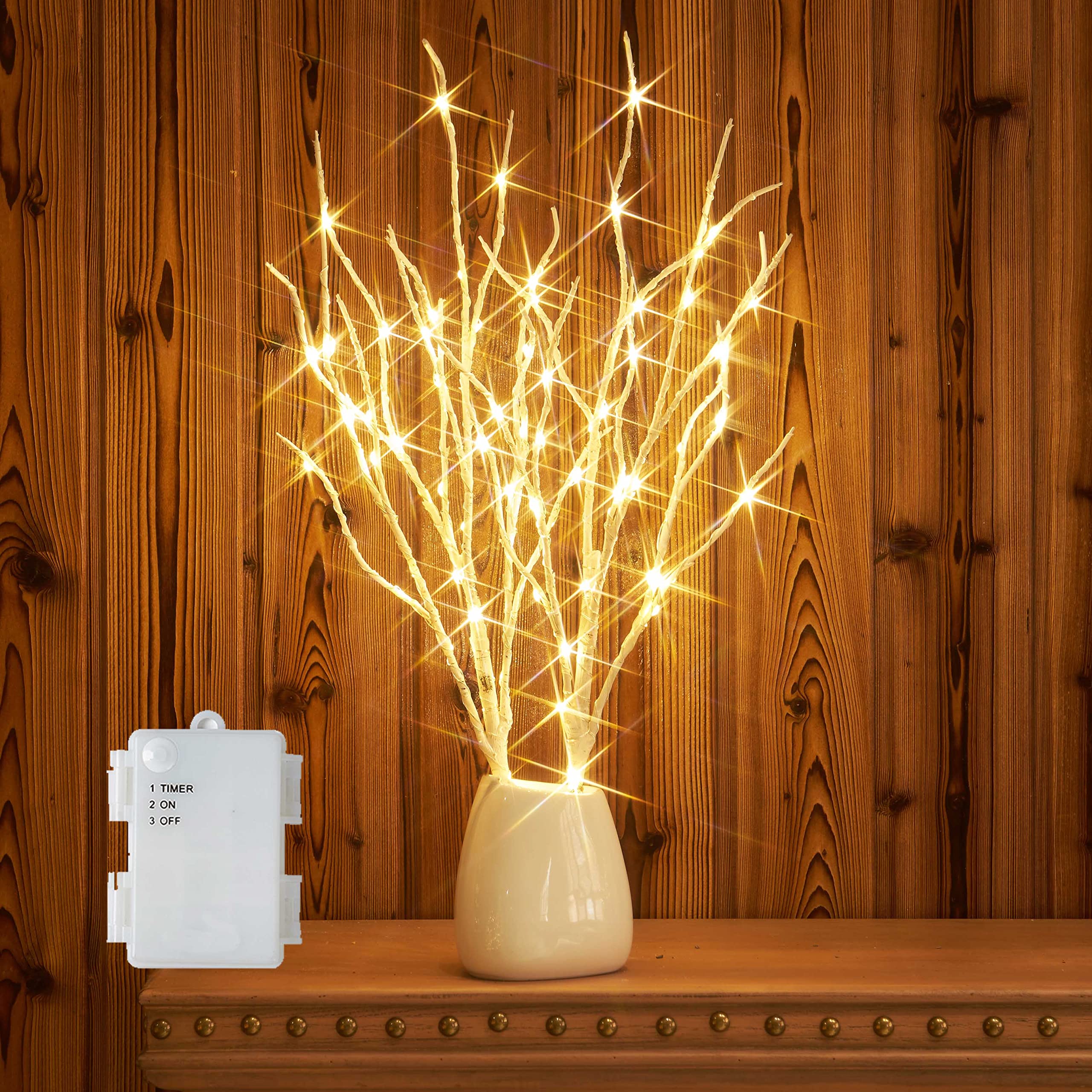 Hairui birch branches front view showing elegant lit twigs and warm ambiance
