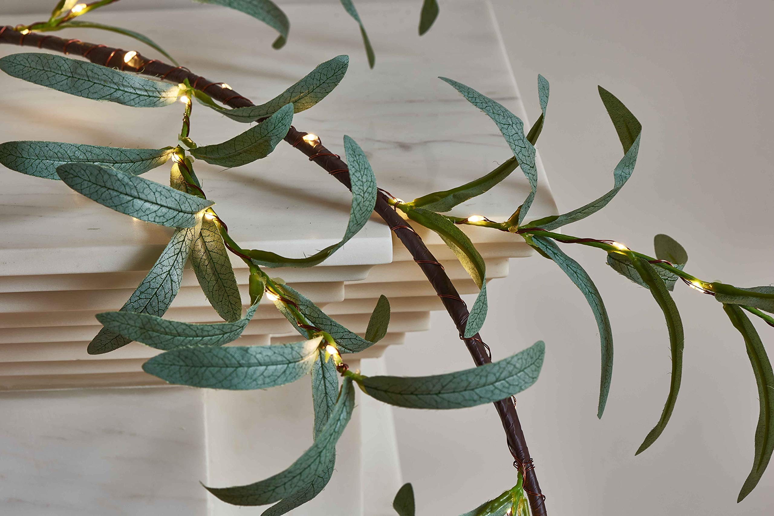 Hairui close-up of olive leaf texture showing realistic detail