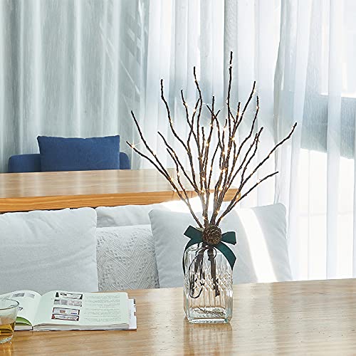 Hairui branches on sheltered porch demonstrating outdoor-friendly waterproof design